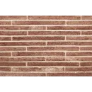 Кирпич ригельный Донские зори звезда М400 490х90х40 мм